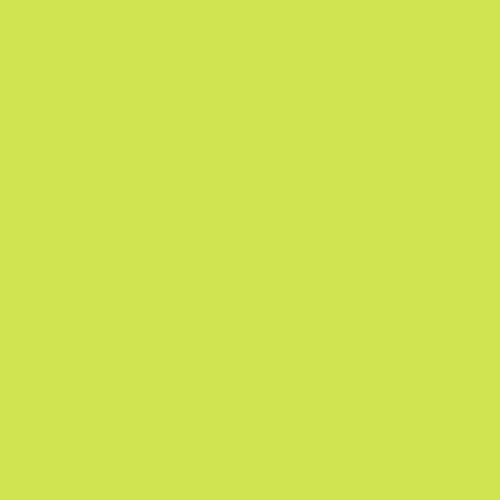 Limeade • Tula Pink Solids