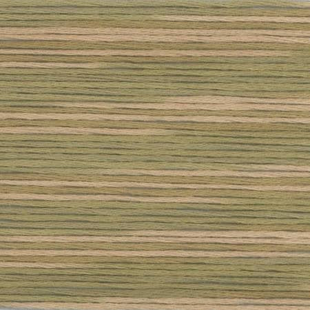 Cosmo Season Varigated - 5011 Cosmo Season