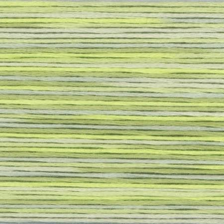 Cosmo Season Varigated - 5013 Cosmo Season