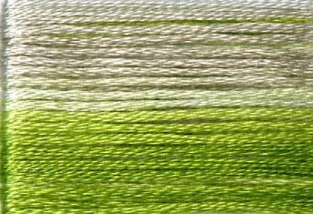 Cosmo Season Varigated - 8015 Cosmo Season