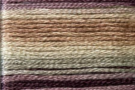 Cosmo Season Varigated - 8065 Cosmo Season