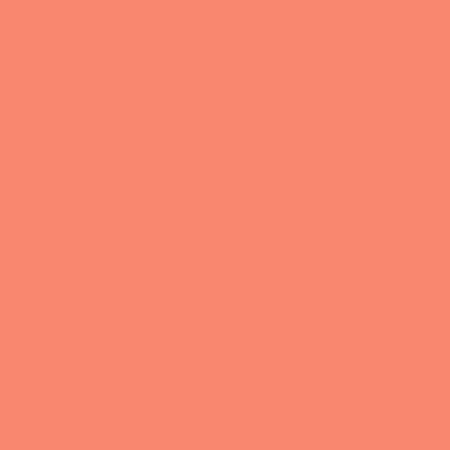 Tula Pink Solids- Persimmon Tula Pink