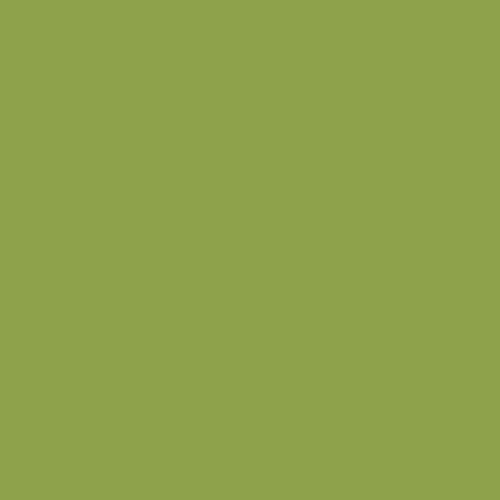 Matcha • Tula Pink Solids
