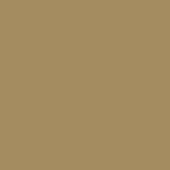 CS-10-CAFEAULAIT Century Solids