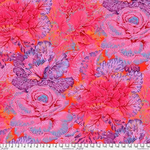 Curly Kale - Red Kaffe Fassett