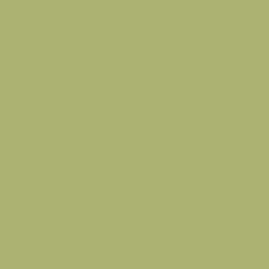 CS-10-SAGEBRUSH Century Solids