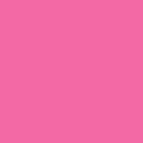 Tula Pink Solids- Tula Tula Pink