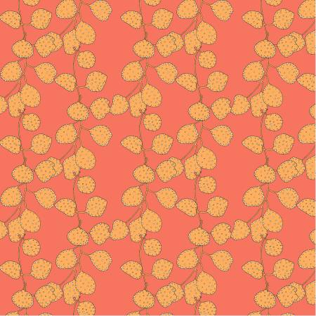 Coral - Honesty • Sunshine & Foliage
