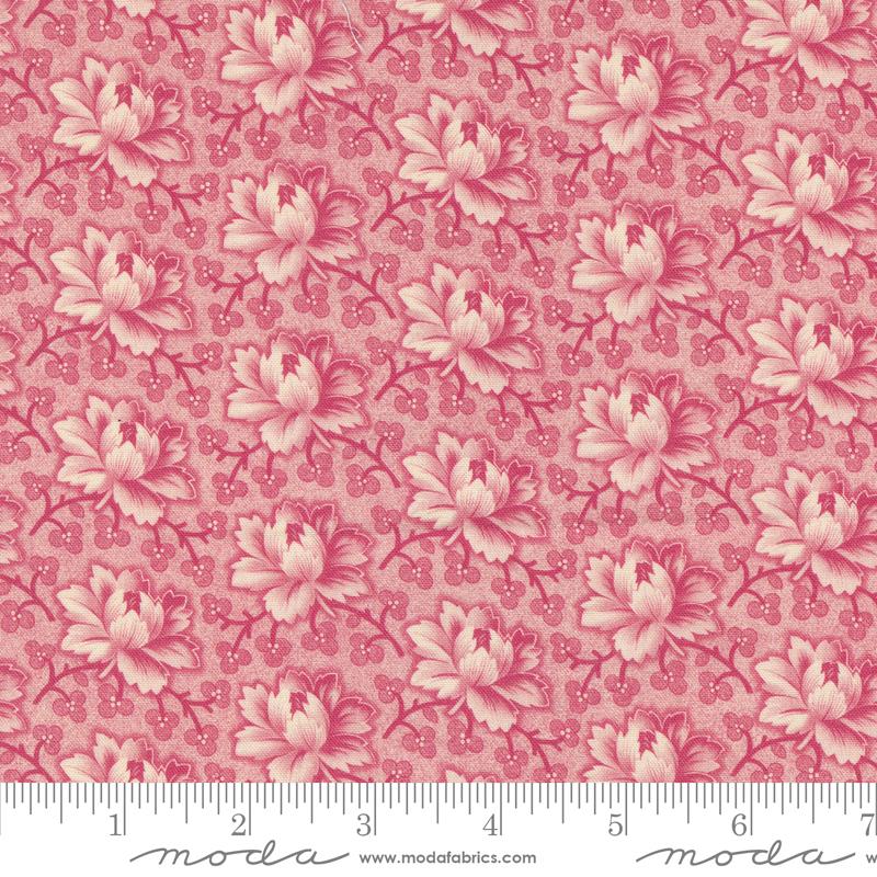 Carnation - 31702 12 • Goodnight Irene by Betsy Chutchian