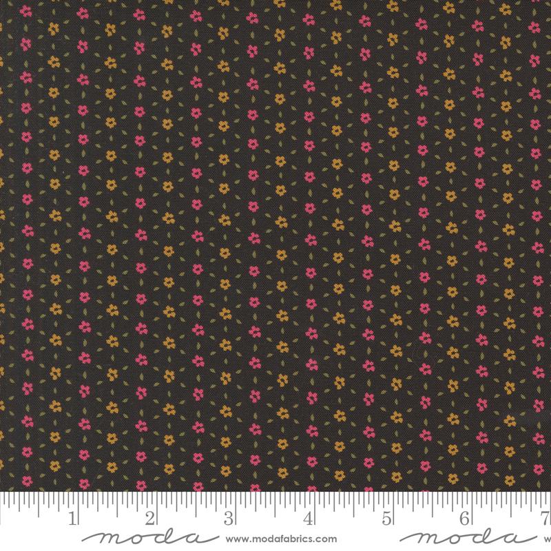 Seedling Night Sky - 11956 22 • Sagewood