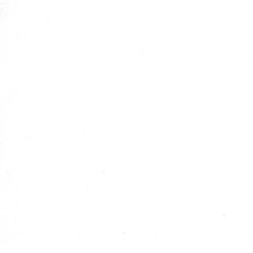 White on White Crackle • Moda