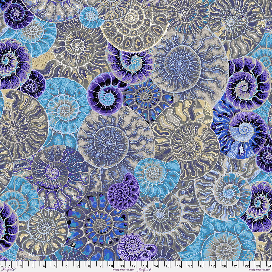 Ammonites - PWPJ128.BLUE • August 2024