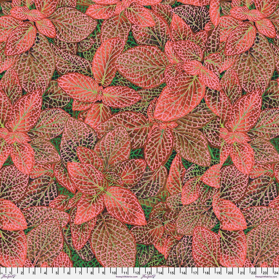 Fittonia - PWPJ129.RED • August 2024