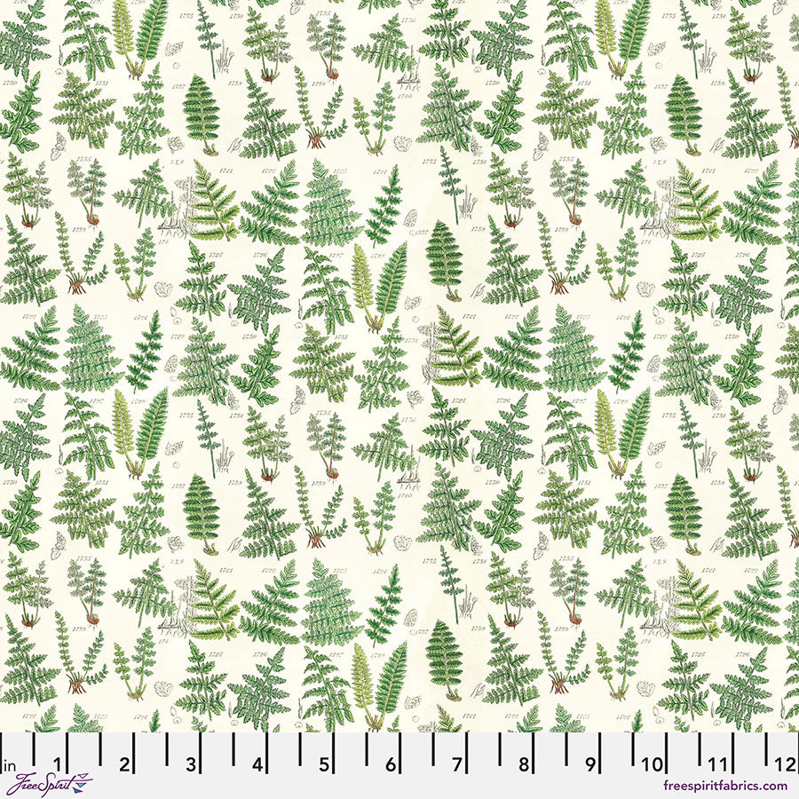 Green Ferns - Green • Tim Holtz Palette Green
