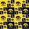 Iowa Hawkeye Box By Skytel