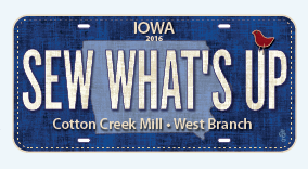 RxR | 2016 License Plate • Sew What's Up