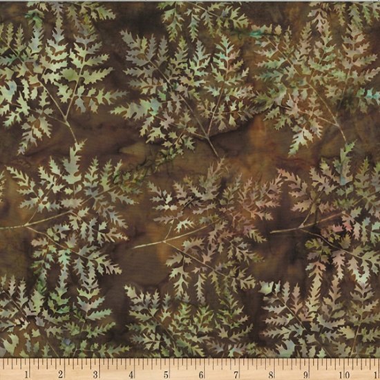 Earth V2548-58 Large Fern
