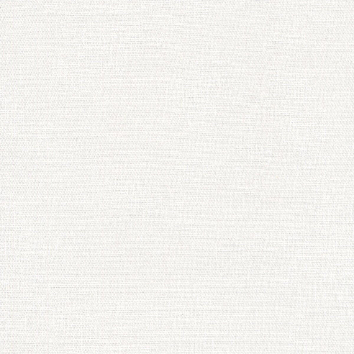 Shabby Color - Snow • Riley Blake