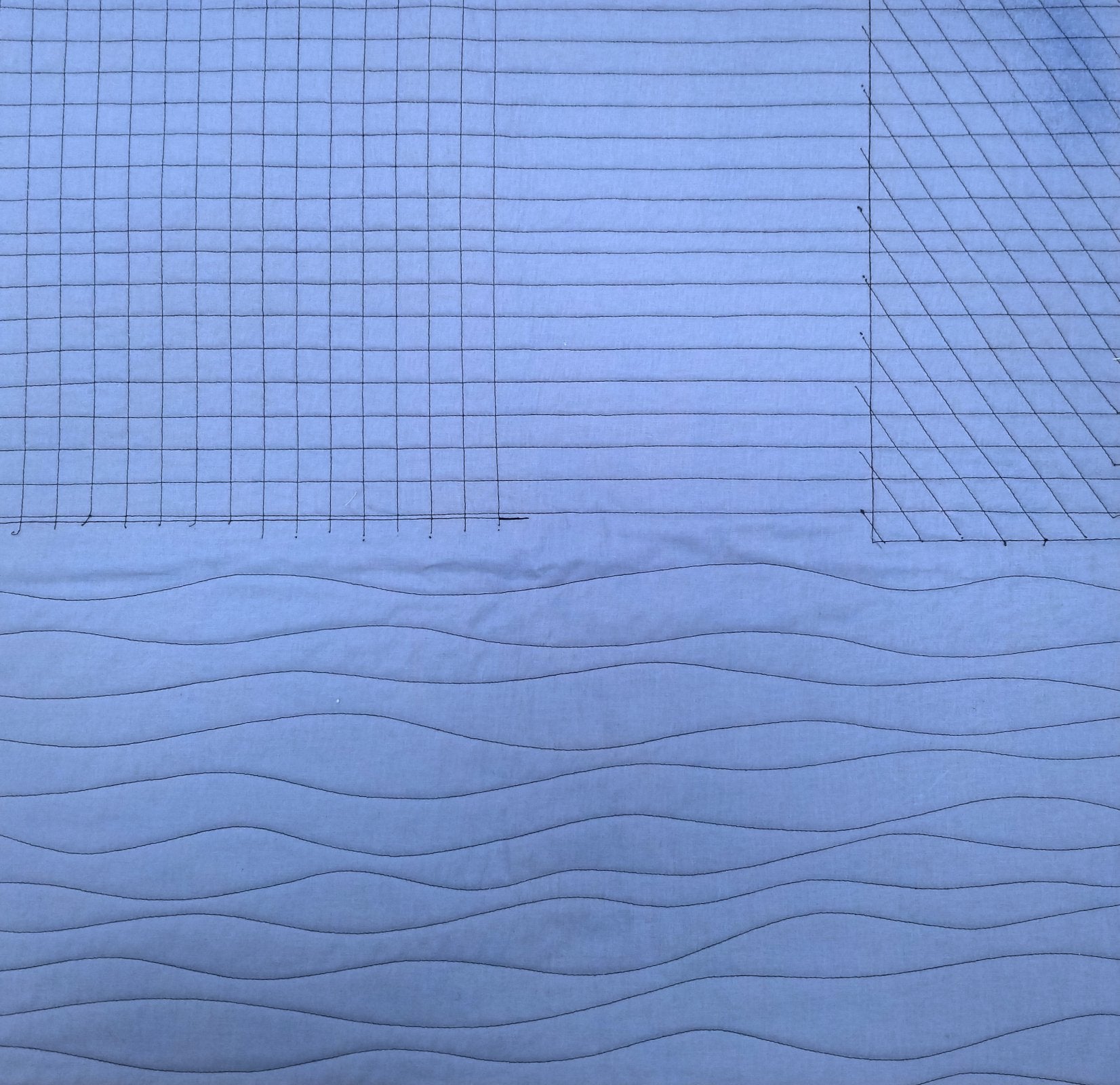 Walking Foot Class • January 17th