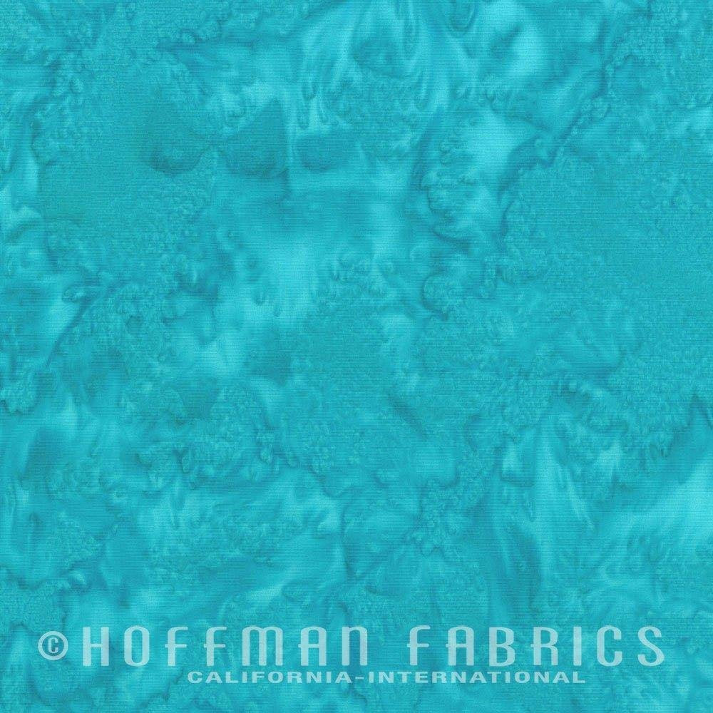 Cabo 1895 #361 Hoffman