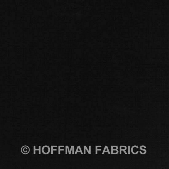 Raven 1895 #494 Hoffman