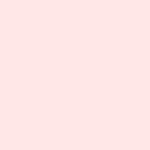 Peachfuzz • Tula Pink Solids