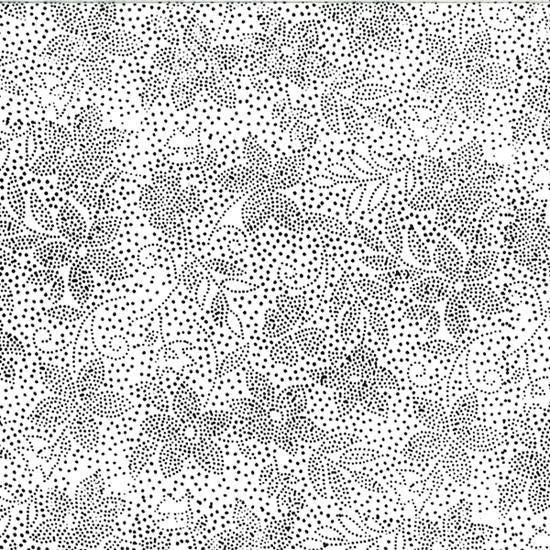 Batik Dotty Floral | Zebra
