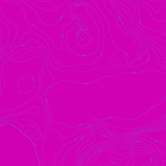 Topography - Cabbage A556P Sun Print 2023