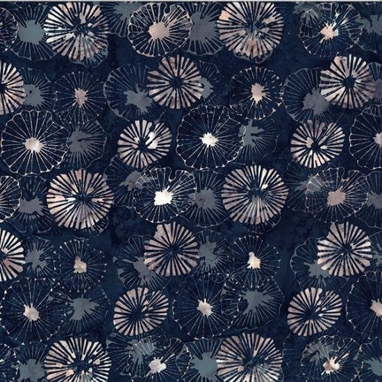 Midnight | Natural Beauty Hoffman
