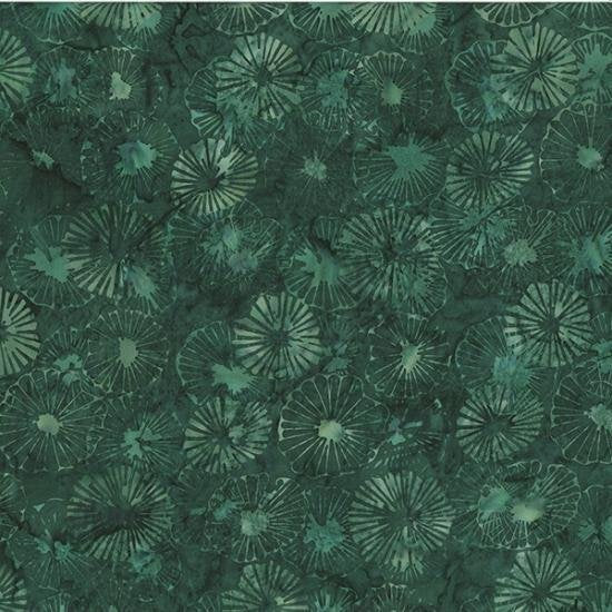 Rosemary | Forest Breeze Hoffman