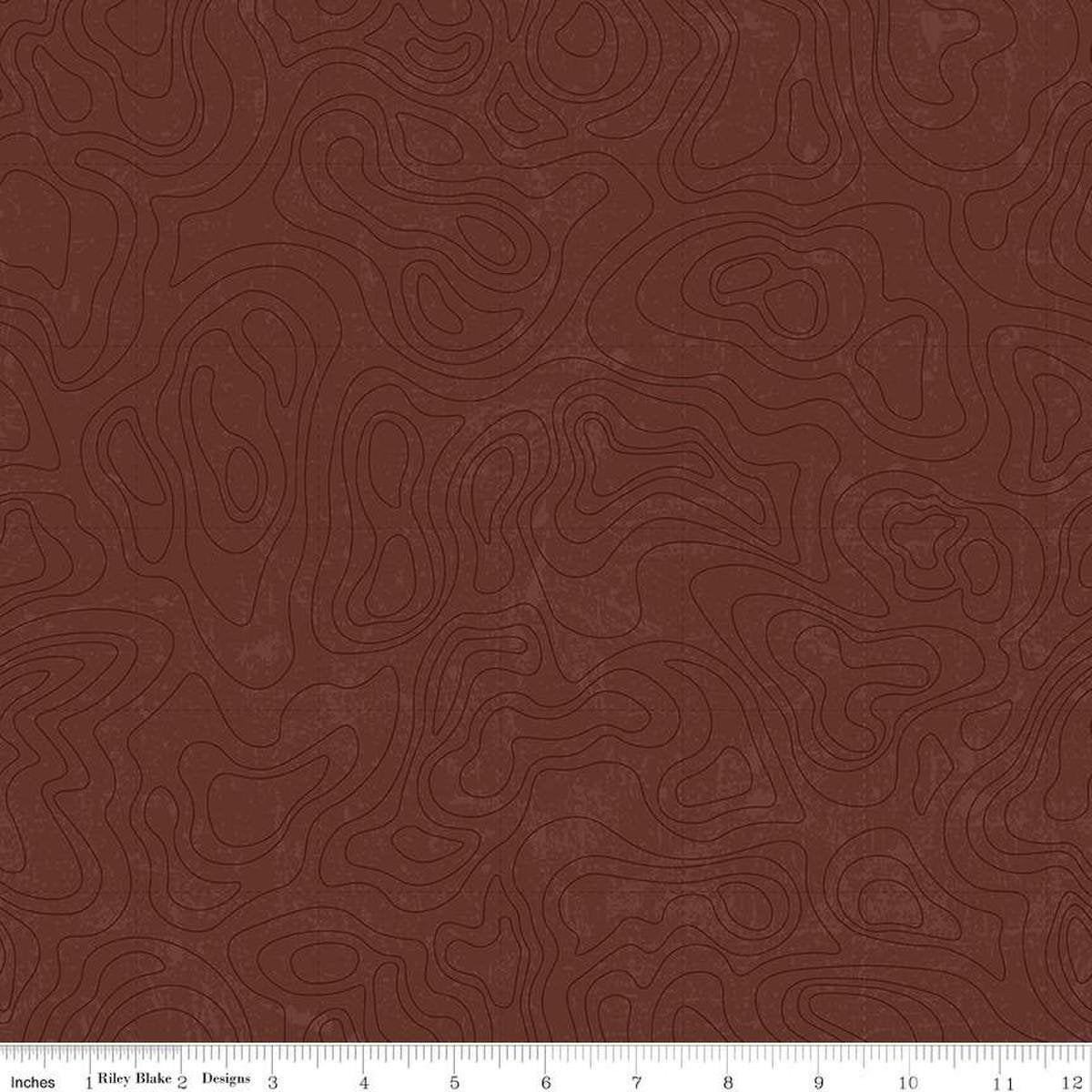 Topographic Brown Riley Blake - National Parks