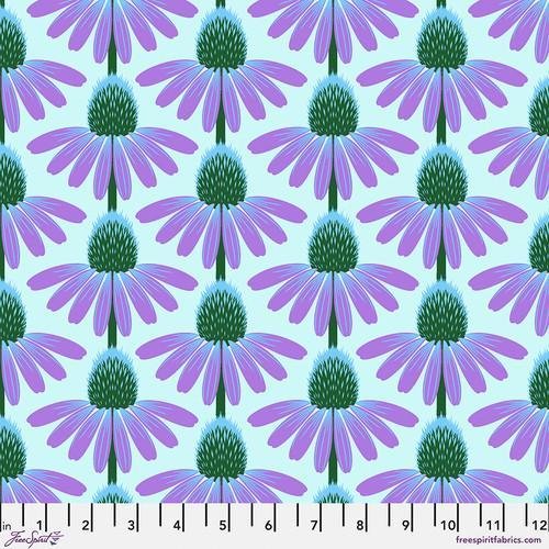 Echinacea - Grape Anna Maria