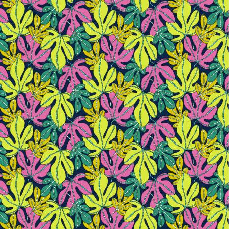 Multi - Monstera • Sunshine & Foliage