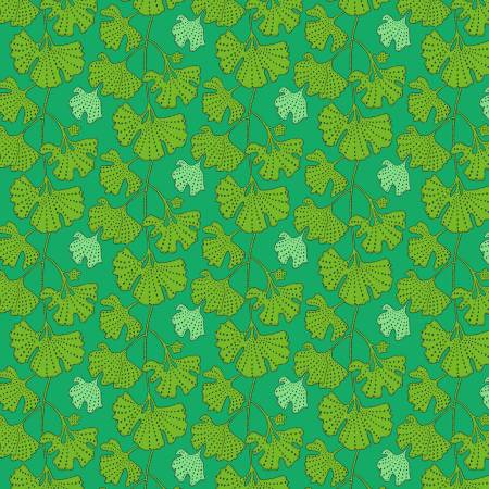 Kelly - Ginkgo • Sunshine & Foliage