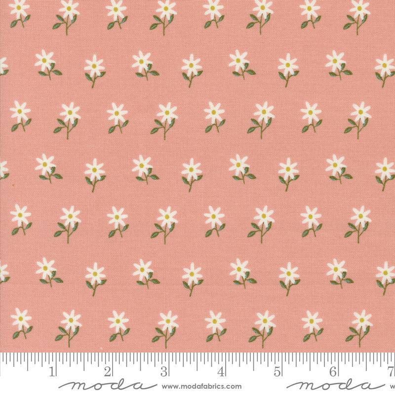 Imaginary Flowers - Blossom 48384 18 • Gingiber
