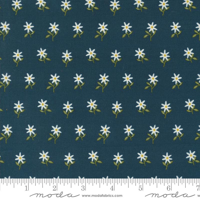 Imaginary Flowers - Midnight 48384 20 • Gingiber