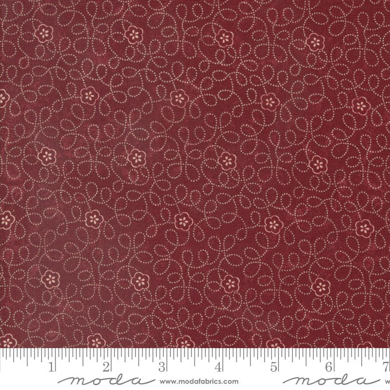 Carnation - 9762 13 • Daisy Lane