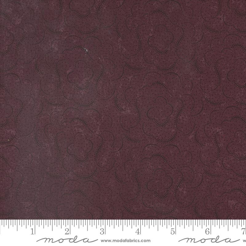 Crocus - 9767 16 • Daisy Lane