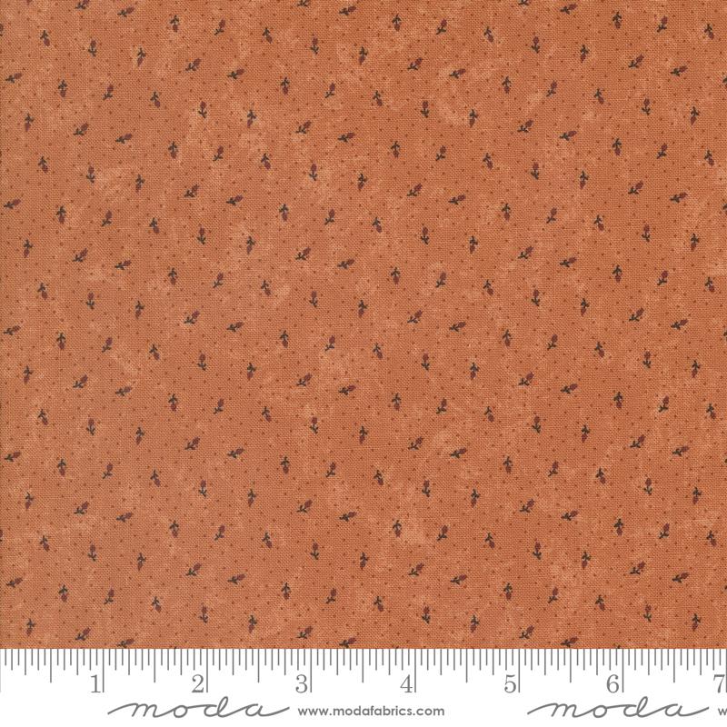 Tiger Lily - 9768 17 • Daisy Lane
