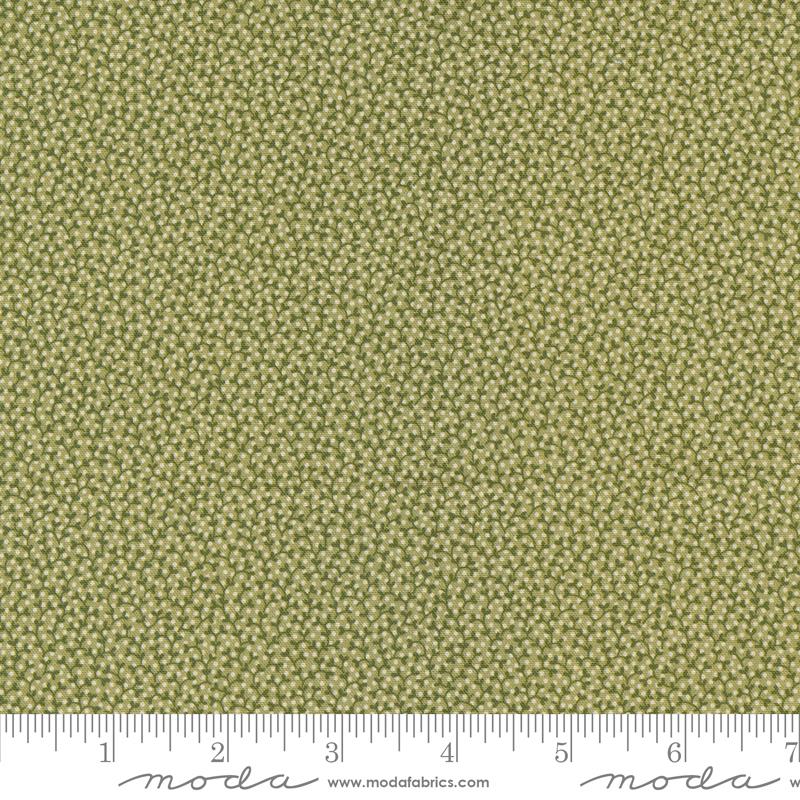 Moss - 31707 13 • Goodnight Irene by Betsy Chutchian