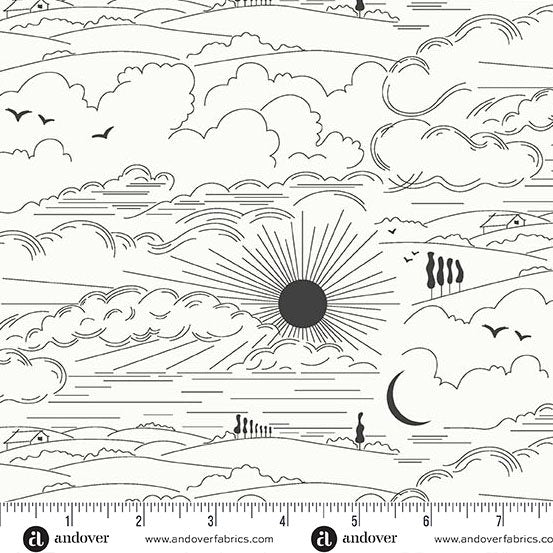 Zebra Dwell A-1219-K • Sun Print Whisper