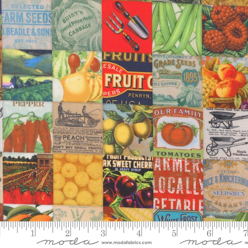 Garden - 7474 11 • Farm And Garden by Cathe Holden