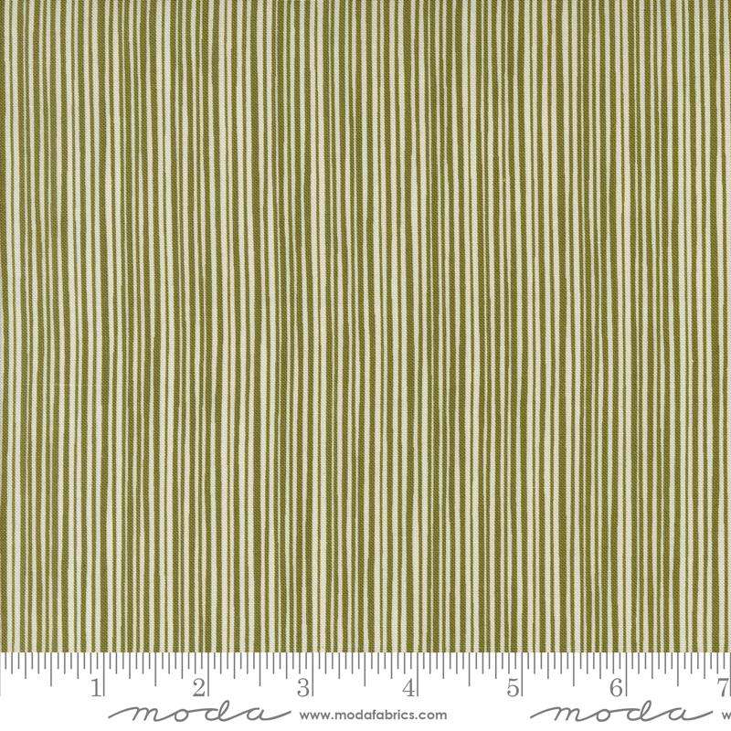 Pine - 55696 13 • Emmitt and Ivy