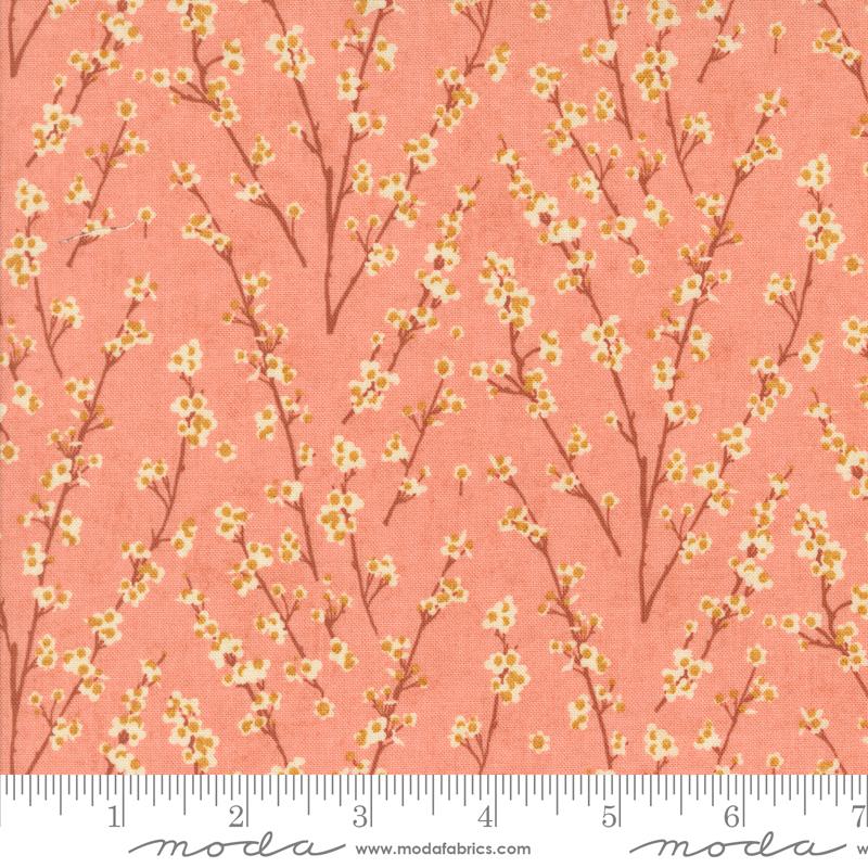 Apple - 30765 17 • Acorn Hollow by Basic Grey
