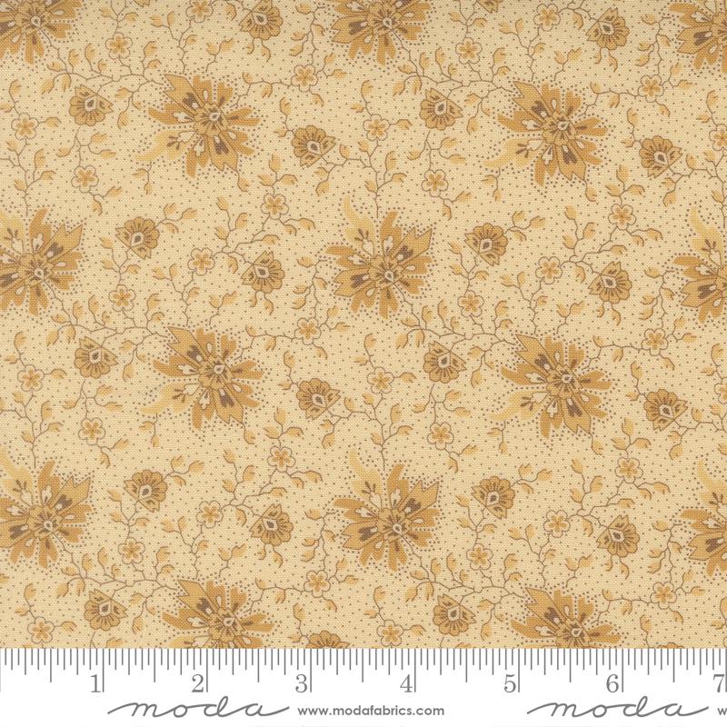 Vanilla Bean - 2771 11 • Wild Orchid