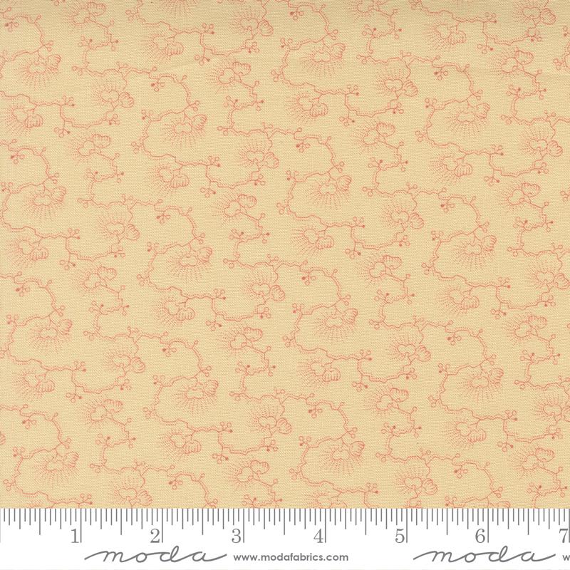 Petal Vanilla Bean - 2772 21 • Wild Orchid