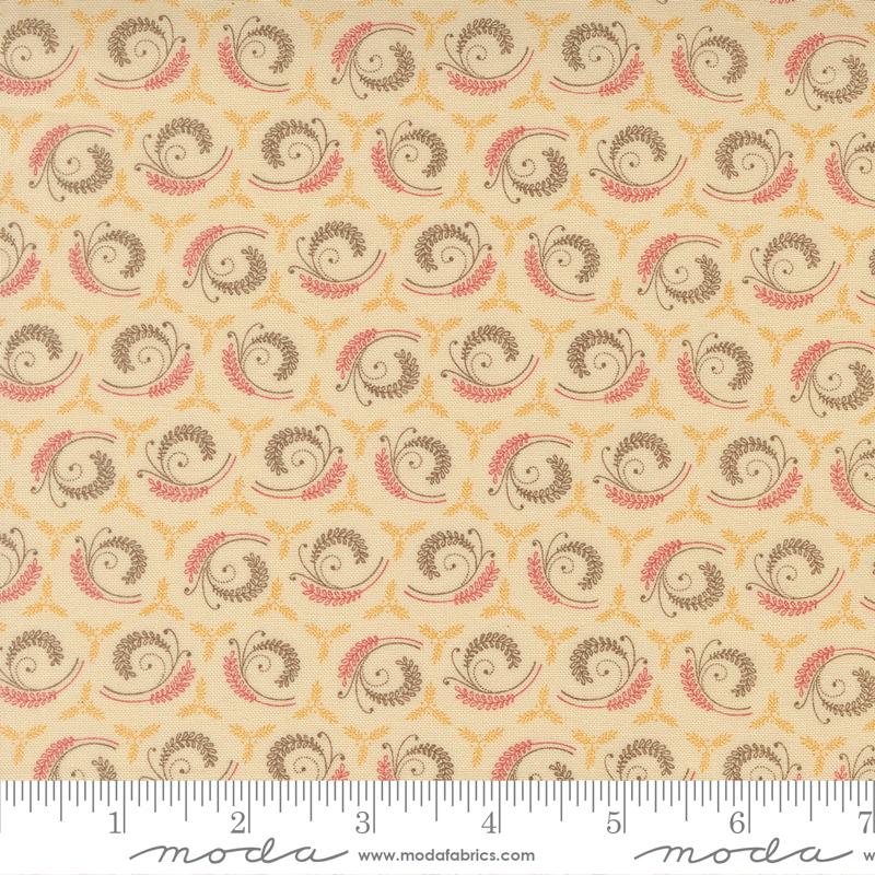 Vanilla Bean - 2773 11 • Wild Orchid