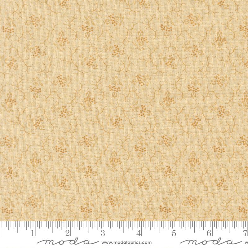 Vanilla Bean - 2774 11 • Wild Orchid