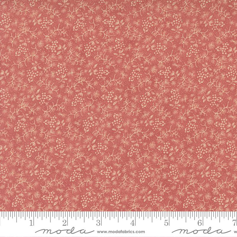 Petal - 2774 15 • Wild Orchid
