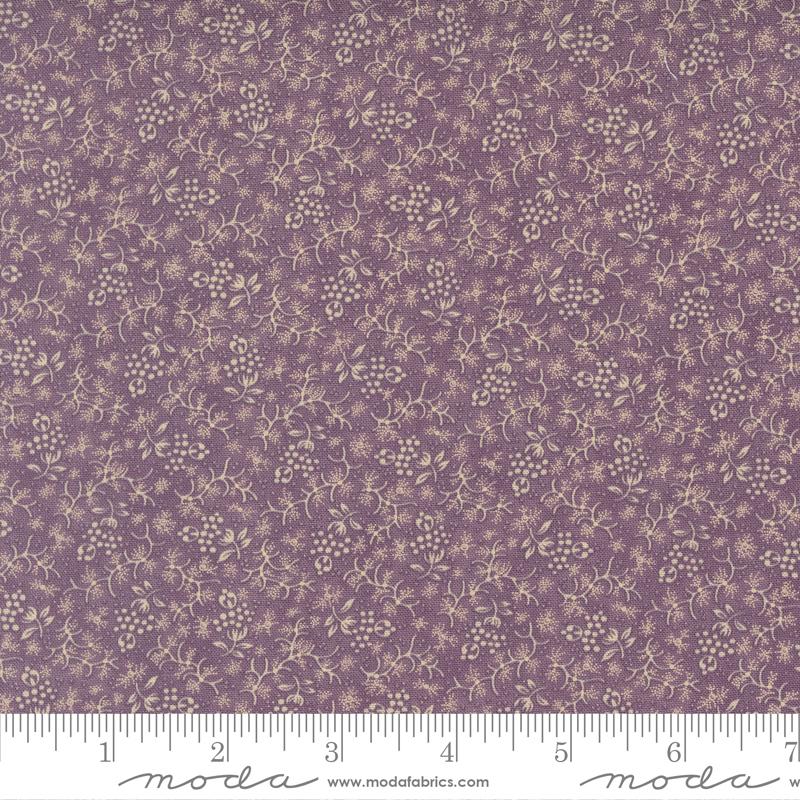 Moth - 2774 16 • Wild Orchid